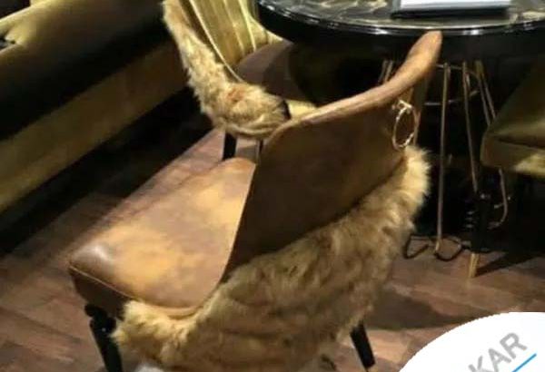 مبل چسترمهناز
